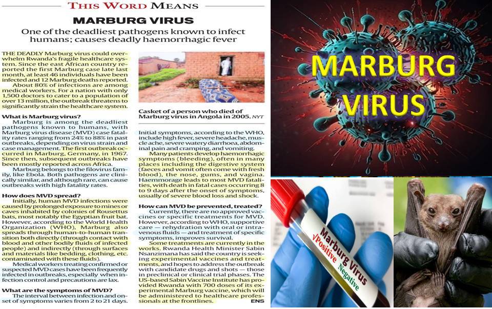 Marburg Virus